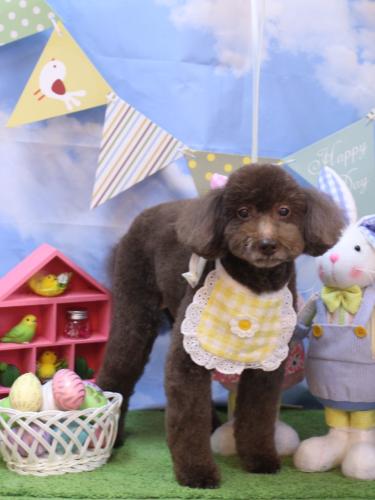 20240317杏ちゃん